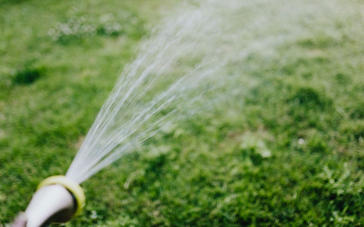 Wasserstrahl aus einem Gartenschlauch über grünem Rasen