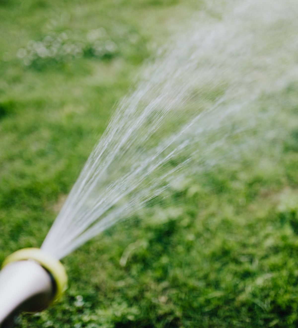 Wasserstrahl aus einem Gartenschlauch über grünem Rasen